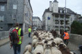 Sur le Pont d'Ossau