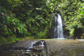 Cascade de Saut Gendarme à Fonds-Saint-Denis Découverte du Patrimoine de la Martinique