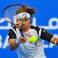 david ferrer