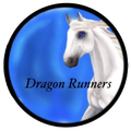 dragonrunnersssos Webseite!