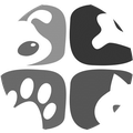 MOSHIMO LAB