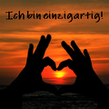 Jeg er unik-Leben so gut ich kann - Heike Pfennig