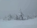 GeoWrite Postkarte Brocken