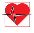 Rainbow Divers Vietnam PADI Dive Center | PADI Emergency First Response Course Logo Image