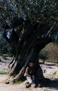 Emily at Pont du Gard