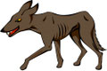 Jackal