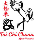 stage taichichuan lyon