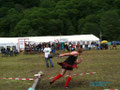 mac-vals, highland, games, vals, sport, mac