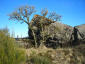 Zerstörter Bunker