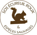 SOS Ecureuils Roux