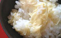 湯葉ご飯