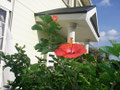 IRONMAN JAPAN　B&B　民泊