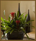 Home Stager Gig Harbor, Tacoma, Port Orchard, Bremerton, Silverdale