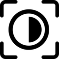 Icon of the movement Writing with Light