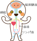 情報誌