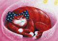 2004 - Cat