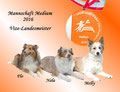 Vize-Landesmeister 2016 Medium