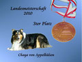 Bronze Landesmeisterschaft 2010 Einzel