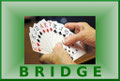 Bridge Logo 1