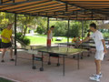 Alternativsport