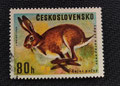 1966 - Tchécoslovaquie  - yt 1526 - Lièvre d'Europe (Lepus europaeus)