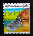 1986 AUSTRALIE -Ornithorynque (Ornithorhyncus anatinus). MICHEL 992 - YT 968 - SCOTT 992e - S.GIBBONS 1027