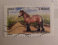 2013-yt823 -Chevaux de trait de nos régions -  Le cheval - L'auxois