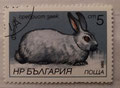 1986 -BULGARIE Les lièvres et les lapins (1)