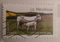 2014 - FRANCE - Vache La Mirandaise - Création graphique de Mathilde Laurent