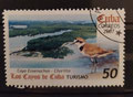 2007 - Cuba - yt 4462 - Pluvier à collier interrompu (Charadrius alexandrinus)
