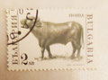 1991- BULGARIE - Le taureau