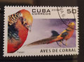 2006 - Cuba - yt 4355 - Faisan doré (Chrysolophus pictus)