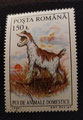 ROUMANIE - 1994 - yt 4219 - Jeunes animaux domestiques - Chevreau