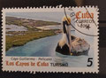 2007 - Cuba - yt 4458 - Pélican brun (Pelecanus occidentalis)