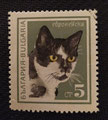BULGARIE -1967 - yt1720 - Le chat européen