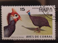 2006 - Cuba - yt 4353 - Pintade de Numidie (Numida meleagris)