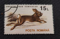 1993 - Roumanie - yt 4095 -Le Lapin de garenne (Oryctolagus cuniculus)