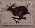 1993 - BULGARIE - Lièvre européen