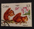 CUBA -1979 - yt 2161 - Ecureuils