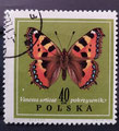 POLOGNE - 1967 - yt1653 - petit papillon tortue dessiné par J. Desselberger