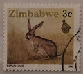 1990 - ZIMBABWE - Le lièvre
