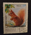 HONGRIE -1986 -L'Écureuil d'Eurasie ou Écureuil roux (Sciurus vulgaris) dessiné par Kincses