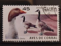 2006 - Cuba - yt4354 - Bernache du Canada (Branta canadensis)