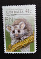 1990 AUSTRALIE. Animaux de haute montagne -Petauride volan 'Greater glider'. MICHEL 1189 - YT 1147 -SCOTT 1166