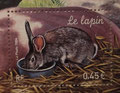 2004 - Les animaux de la ferme - Le lapin dessiné par Christophe DROCHON 