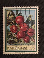 1967 - ITALIE - yt IT 989 -  Pommes (malus domestica) - Fruits - plantes