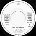 Moon Crazy/ I am the Storm  - Japan PROMO - B