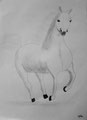 cheval au crayon de Manon, 8,5 ans