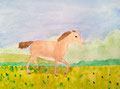 cheval de Emily, 10 ans et demi (aquarelle sur papier)