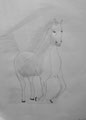 cheval au crayon de Lucie, 9 ans
